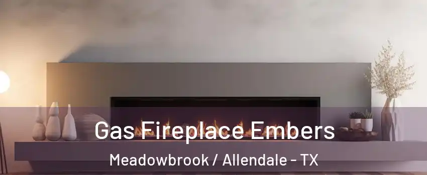 Gas Fireplace Embers Meadowbrook / Allendale - TX
