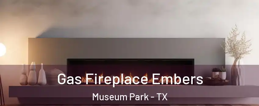 Gas Fireplace Embers Museum Park - TX