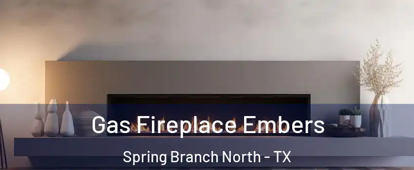 Gas Fireplace Embers Spring Branch North - TX