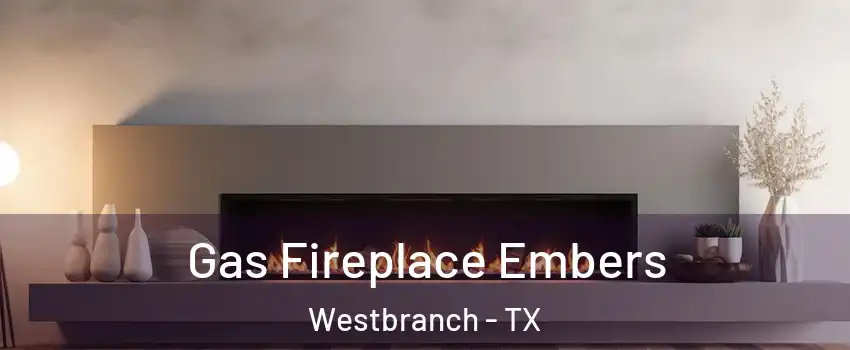 Gas Fireplace Embers Westbranch - TX
