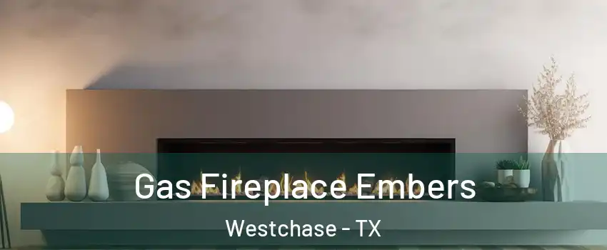 Gas Fireplace Embers Westchase - TX
