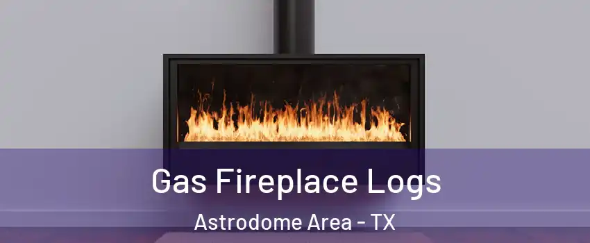 Gas Fireplace Logs Astrodome Area - TX