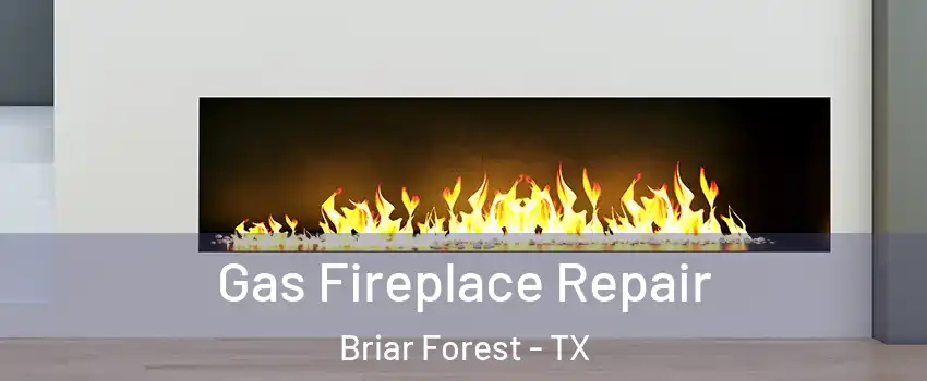 Gas Fireplace Repair Briar Forest - TX