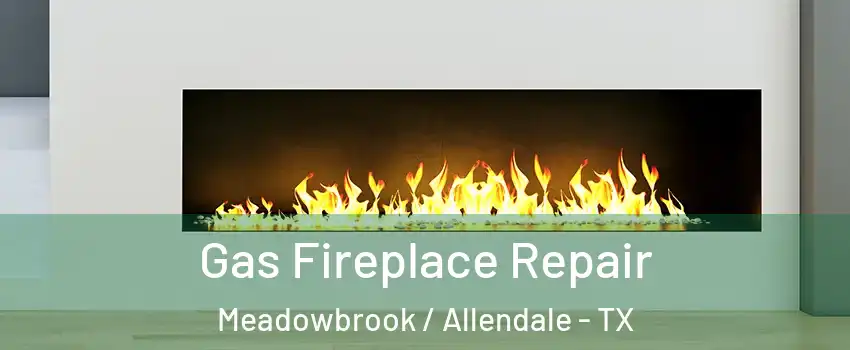 Gas Fireplace Repair Meadowbrook / Allendale - TX