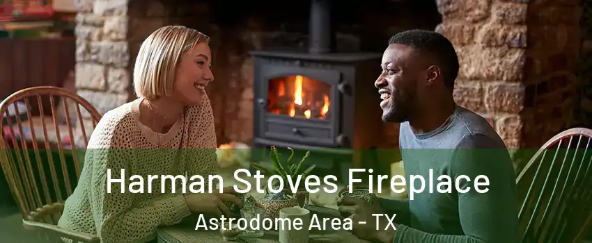 Harman Stoves Fireplace Astrodome Area - TX