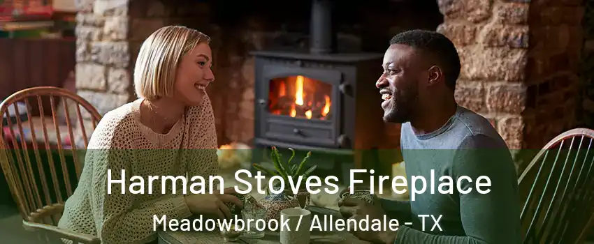 Harman Stoves Fireplace Meadowbrook / Allendale - TX