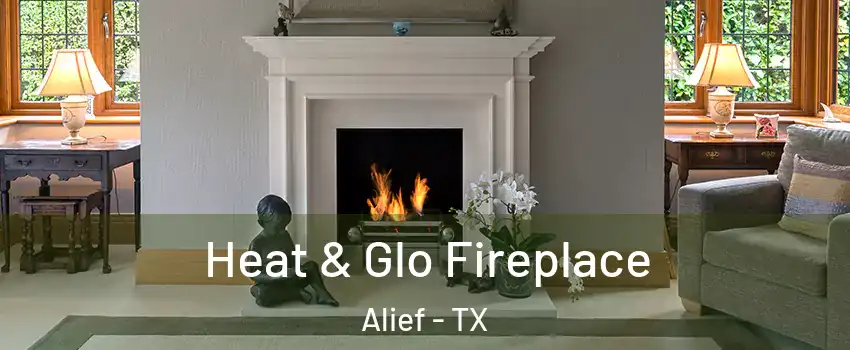 Heat & Glo Fireplace Alief - TX