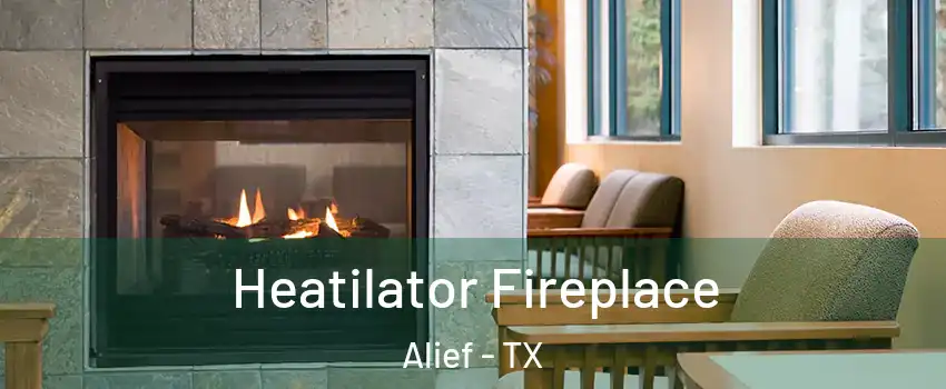 Heatilator Fireplace Alief - TX