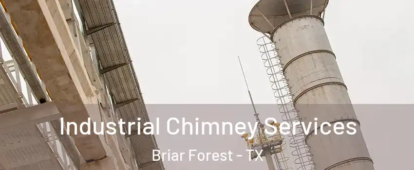 Industrial Chimney Services Briar Forest - TX