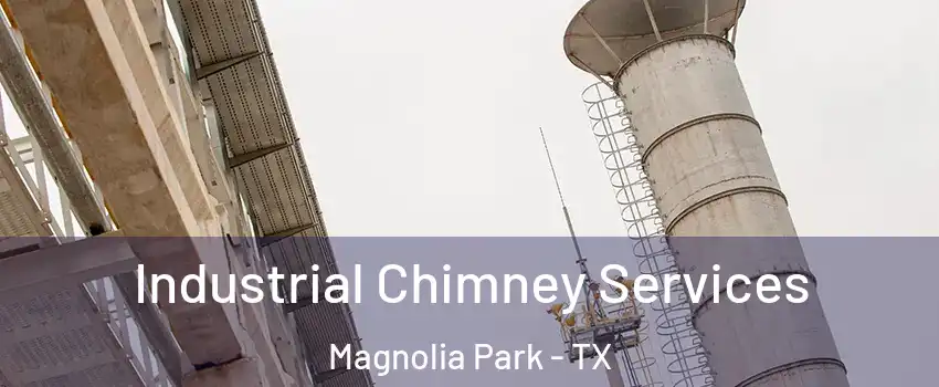 Industrial Chimney Services Magnolia Park - TX