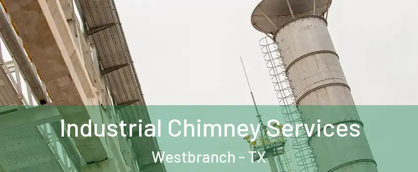 Industrial Chimney Services Westbranch - TX