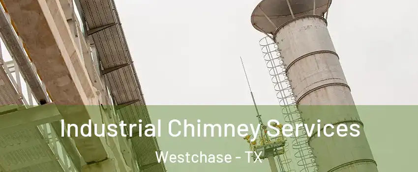 Industrial Chimney Services Westchase - TX