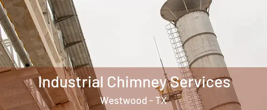 Industrial Chimney Services Westwood - TX