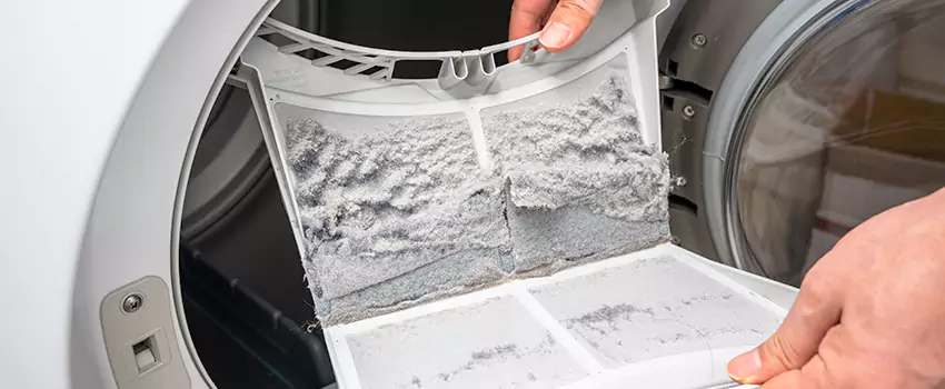 Best Dryer Lint Removal Company in Addicks Park Ten, Texas
