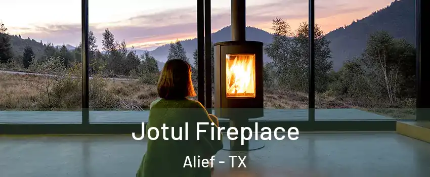 Jotul Fireplace Alief - TX