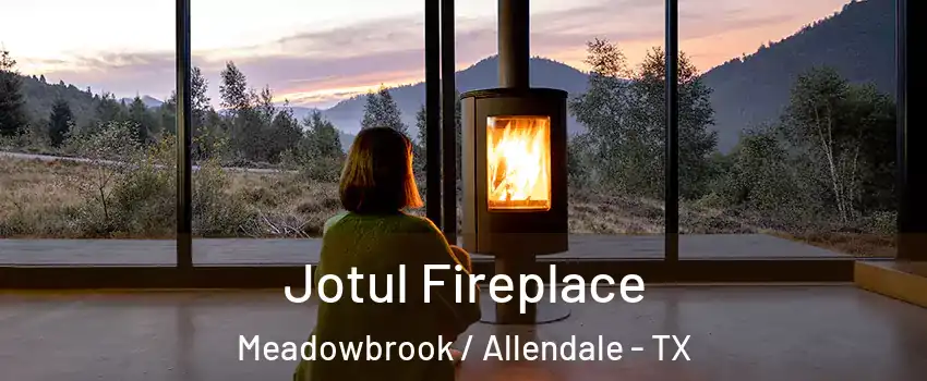 Jotul Fireplace Meadowbrook / Allendale - TX