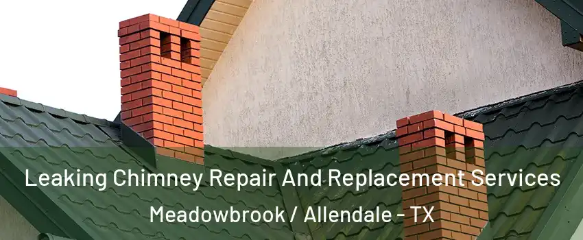 Leaking Chimney Repair And Replacement Services Meadowbrook / Allendale - TX