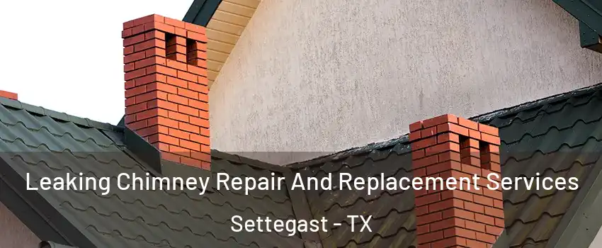 Leaking Chimney Repair And Replacement Services Settegast - TX
