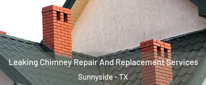 Leaking Chimney Repair And Replacement Services Sunnyside - TX