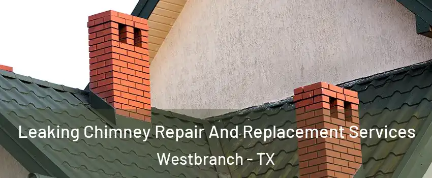 Leaking Chimney Repair And Replacement Services Westbranch - TX
