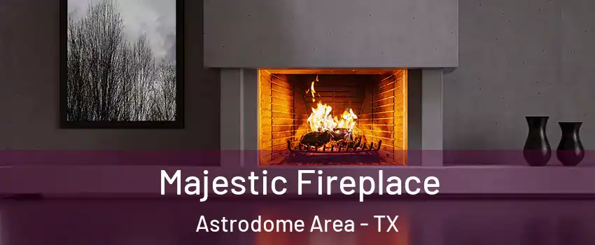 Majestic Fireplace Astrodome Area - TX