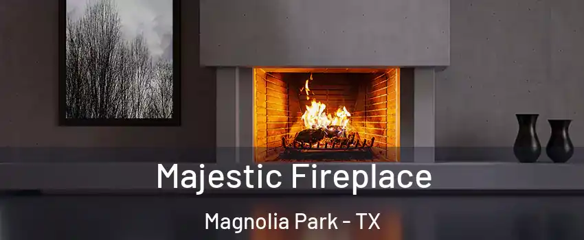 Majestic Fireplace Magnolia Park - TX