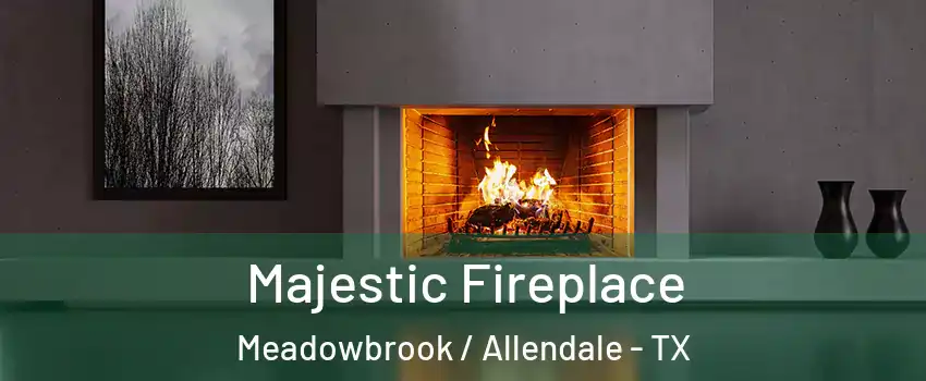 Majestic Fireplace Meadowbrook / Allendale - TX