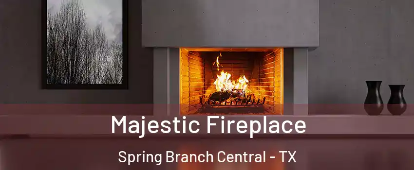 Majestic Fireplace Spring Branch Central - TX