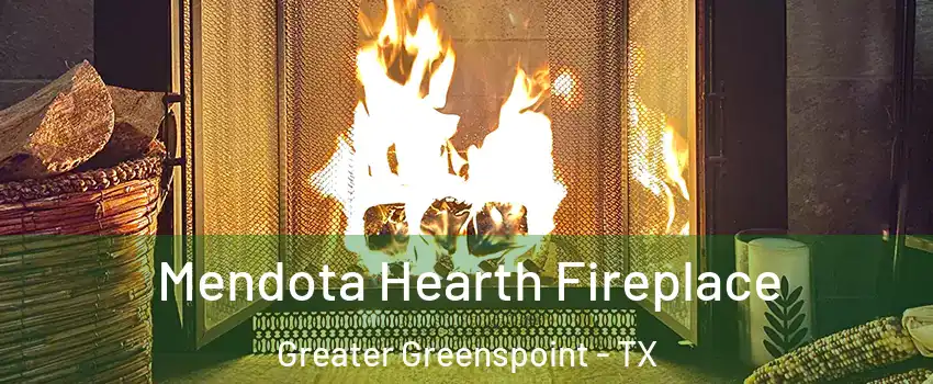 Mendota Hearth Fireplace Greater Greenspoint - TX