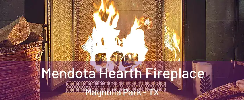 Mendota Hearth Fireplace Magnolia Park - TX