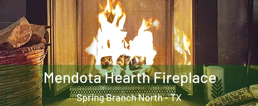 Mendota Hearth Fireplace Spring Branch North - TX
