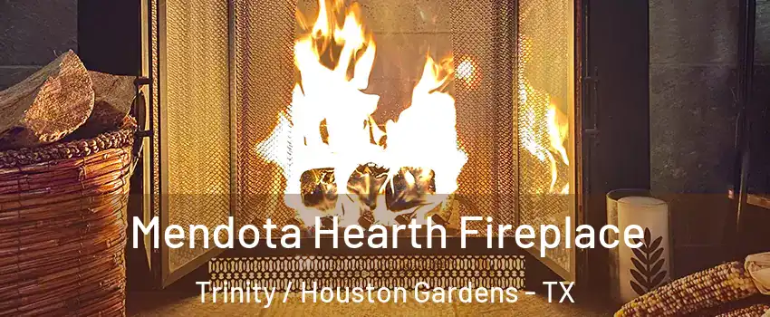 Mendota Hearth Fireplace Trinity / Houston Gardens - TX