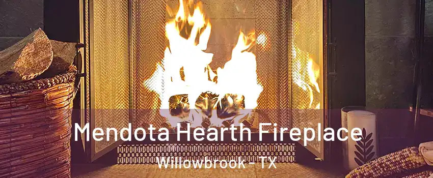 Mendota Hearth Fireplace Willowbrook - TX