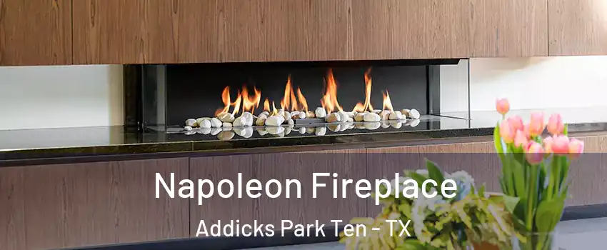 Napoleon Fireplace Addicks Park Ten - TX