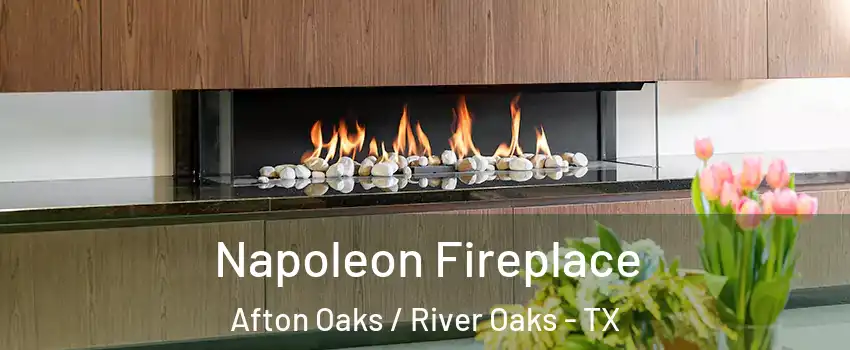 Napoleon Fireplace Afton Oaks / River Oaks - TX