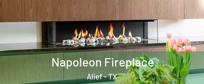 Napoleon Fireplace Alief - TX