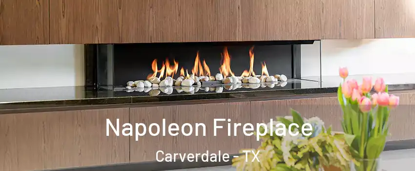 Napoleon Fireplace Carverdale - TX