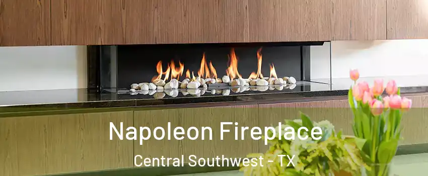 Napoleon Fireplace Central Southwest - TX