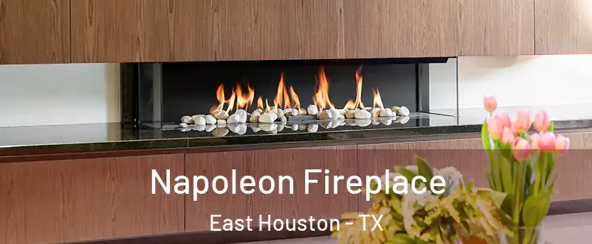 Napoleon Fireplace East Houston - TX