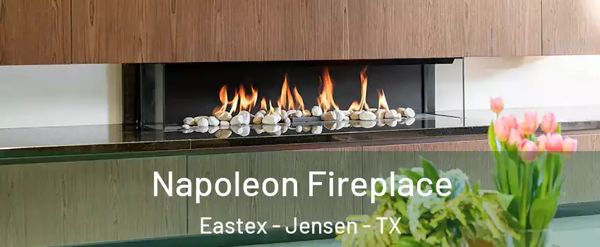 Napoleon Fireplace Eastex - Jensen - TX