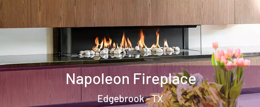 Napoleon Fireplace Edgebrook - TX