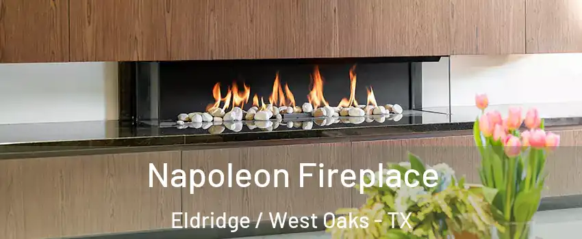 Napoleon Fireplace Eldridge / West Oaks - TX