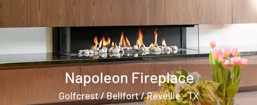 Napoleon Fireplace Golfcrest / Bellfort / Reveille - TX