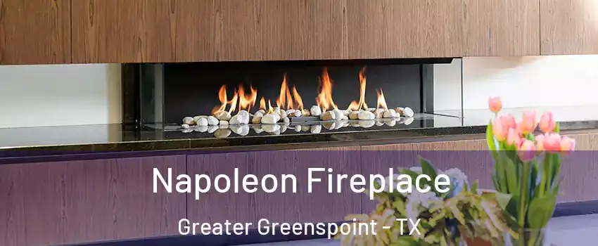 Napoleon Fireplace Greater Greenspoint - TX