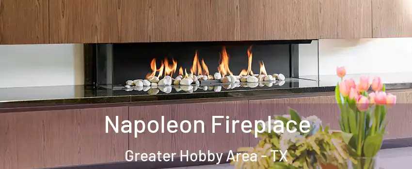 Napoleon Fireplace Greater Hobby Area - TX
