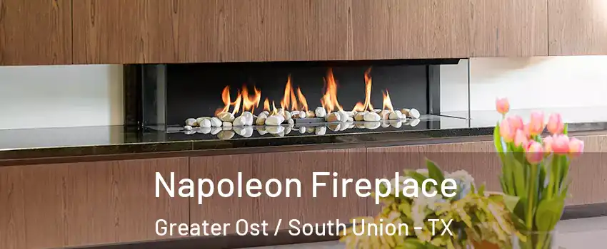 Napoleon Fireplace Greater Ost / South Union - TX