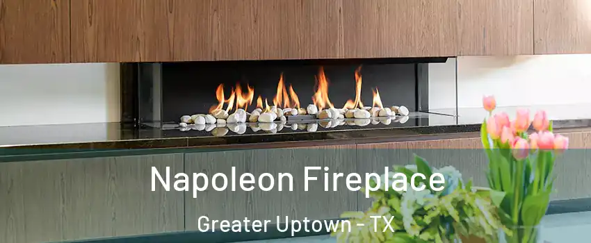 Napoleon Fireplace Greater Uptown - TX