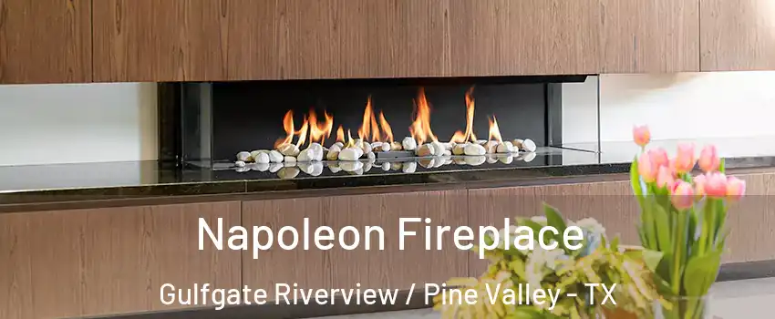 Napoleon Fireplace Gulfgate Riverview / Pine Valley - TX