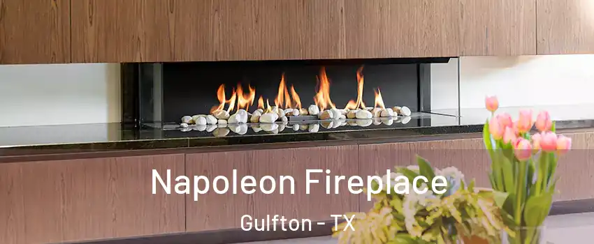 Napoleon Fireplace Gulfton - TX