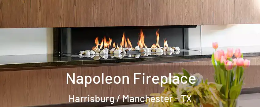 Napoleon Fireplace Harrisburg / Manchester - TX